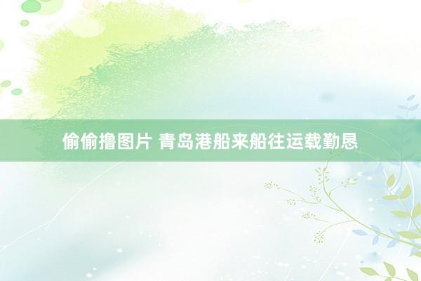 偷偷撸图片 青岛港船来船往运载勤恳
