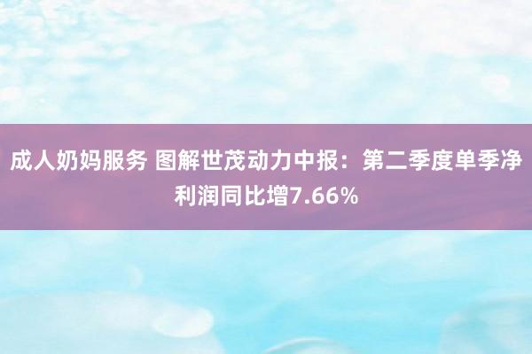 成人奶妈服务 图解世茂动力中报：第二季度单季净利润同比增7.66%
