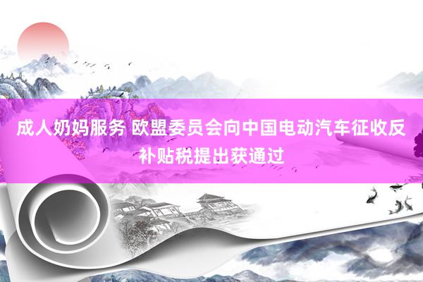 成人奶妈服务 欧盟委员会向中国电动汽车征收反补贴税提出获通过