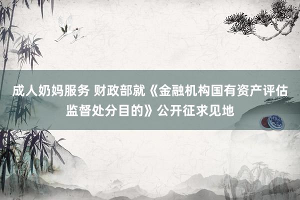 成人奶妈服务 财政部就《金融机构国有资产评估监督处分目的》公开征求见地