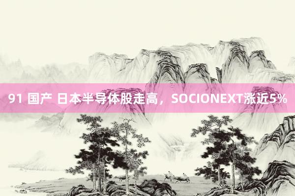 91 国产 日本半导体股走高，SOCIONEXT涨近5%